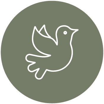 Sympathy Iconb