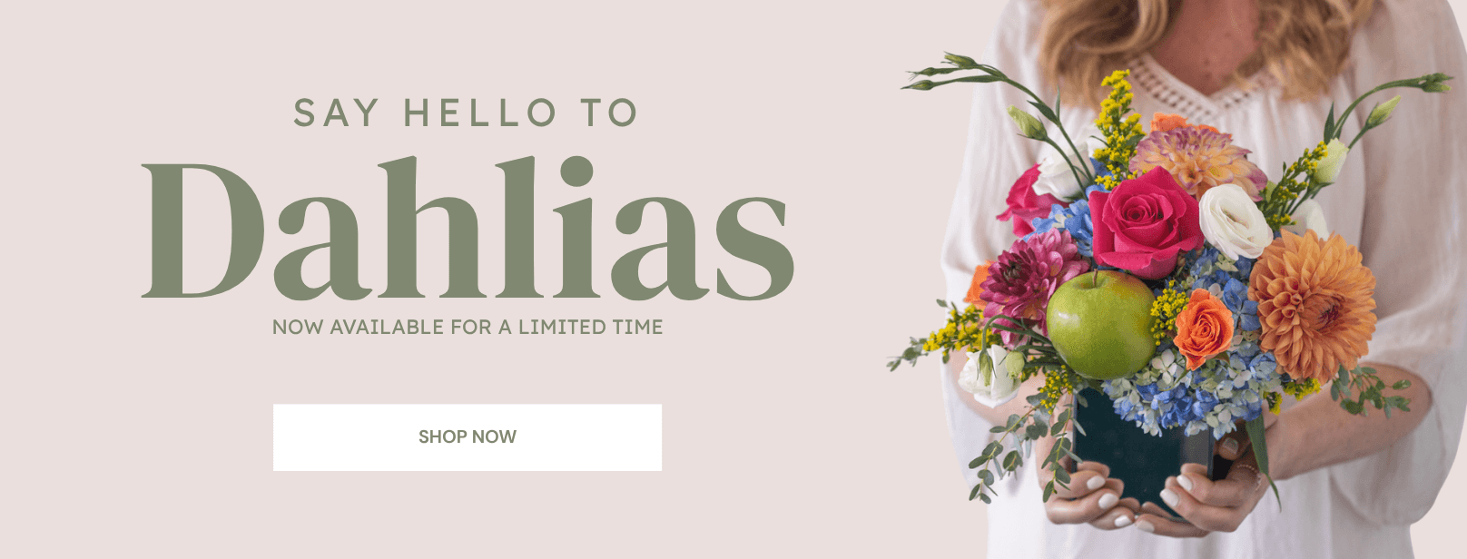Seasonal dahlias available for bouquets, weddings and floral arrangements at Le Bouquet