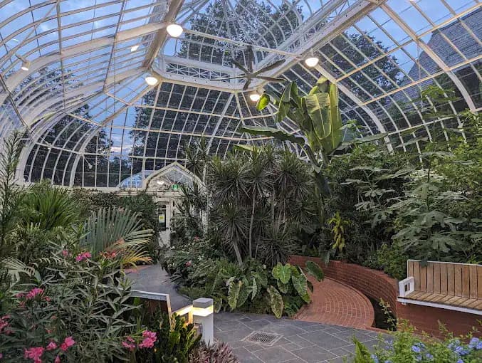 Interior of the greenhouse at Westmount Park in Montreal