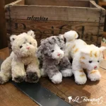 Bootsie Kitty Family