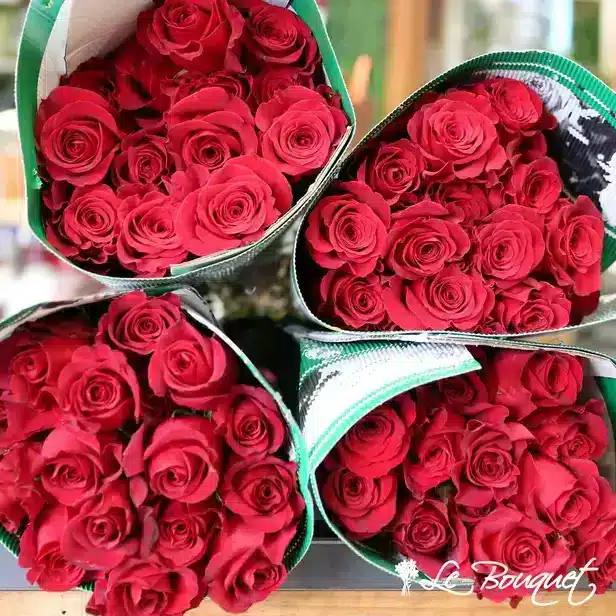 Roses in bulk deals