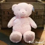 My First Teddy Collection
