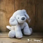Spunky Puppy
