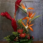 Exotica Arrangement