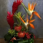 Exotica Arrangement
