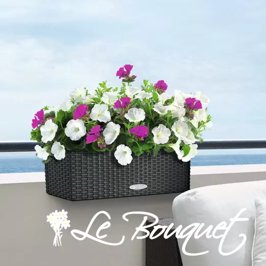 Balconera Cottage 50