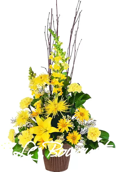 Brighter Blessings Arrangement
