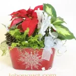 Cute Holiday Dish Garden
