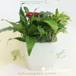 Mixed Green and Flowering in Quadro Self-Watering Planter