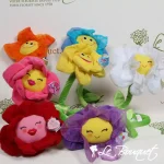 Flower Power Series