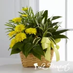 The FTD Loving Light Dishgarden