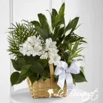 Peace & Serenity Dishgarden