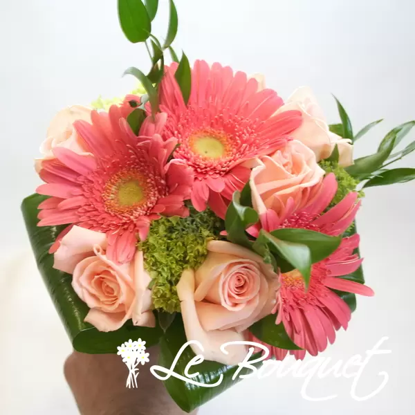 Sonate rose