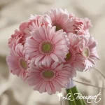 The FTD Daisy Delight Bouquet