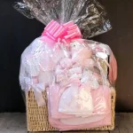 Novelty Baby Basket 1011