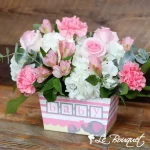 Darling Baby Collection