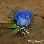 Rose Boutonniere Collection