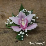 Cymbidium Orchid Boutonniere Collection