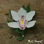 Cymbidium Orchid Boutonniere Collection