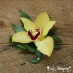 Cymbidium Orchid Boutonniere Collection