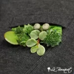 Succulent Lapel