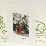 Christmas Winter Greeting Card