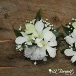 Dendrobium Orchid Corsage
