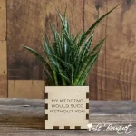 Custom Sansevieria Punk Planter