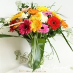 Gerbera bouquet-Premium