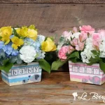 Darling Baby Collection