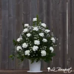 Hope and Honor Basket