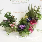 Woven Green Blooming Basket