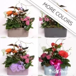 Splendid Garden Planter with Lechuza in Charcoal