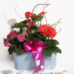 Splendid Garden Planter with Lechuza in Charcoal