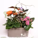 Splendid Garden Planter with Lechuza in Charcoal