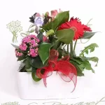 Splendid Garden Planter with Lechuza in Charcoal