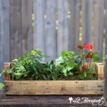 WOODAZNU Flower and Plant Garden