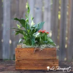 WOODAZNU Flower and Plant Garden