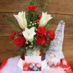 Gnomeo Gift Set