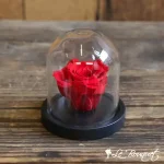 Mini Immortal Rose