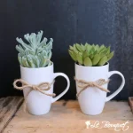 Cup of Joy