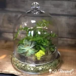 Green Plant Terrarium