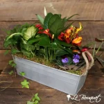 Window Garden