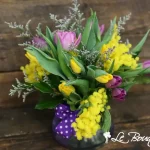 Madame Mimosa