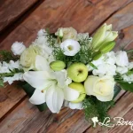 Fleurs de pommiers