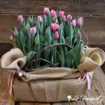 Tulip Crate