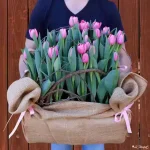 Tulip Crate
