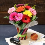 School of Colorful Gerberas