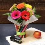 School of Colorful Gerberas