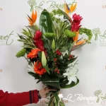 Tropical Spirit